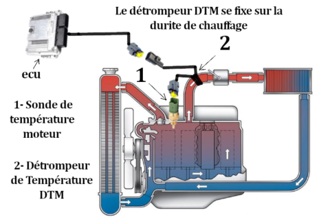 Détrompeur de température moteur